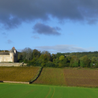 In the Cellar with Henri: A Tradition of Excellence at Domaine Jacqueson