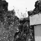 Clos du Papes