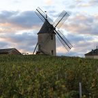 Domaine Labruyere