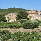 Château La Tour de l’Evêque: Unveiling the Rich Tapestry of History and Exceptional Wines