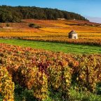 Hidden gems – Domaine Jayer-Gilles