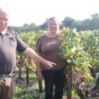 Château Briatte: Elegance in the Heart of Sauternes