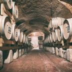 Tenuta Santa Caterina: A Journey through Time, Terroir, and Tradition