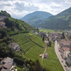 Discovering the Native Treasures of Alto Adige: A Deep Dive into Grape Varieties and Subregions