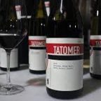 Discovering the Essence of Tatomer Winery: A Journey Through History and Terroir
