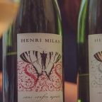Domaine Henri Milan: A Journey from Tradition to Terroir