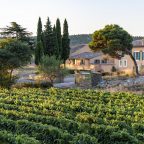 Exploring Excellence: Les Domaines Auriol – A French Winemaking Legacy