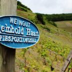 Weingut Reinhold Haart: A Glimpse into the Extraordinary World of Mosel Rieslings