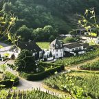 A Symphony of Terroir – Weingut Deutzerhof and the Ahr Valley