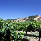 Anderson Valley AVA: A Wine Lover’s Paradise
