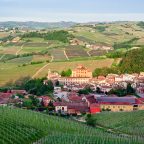In the Heart of Nebbiolo: Barolo Crus and their Unique Characteristics