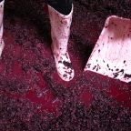Bridging Continents: The Parallel Stories of Burgundy and New Zealand Pinot Noir