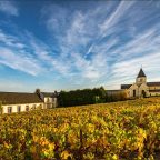 A Tale of Elegance and Tradition – The History of Champagne Salon & Delamotte