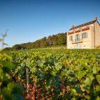 The Legacy of Domaine Faiveley