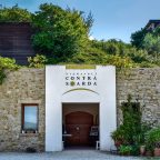Tracing the History of Vignaioli Contrà Soarda
