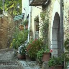 Sagrantino: The Hidden Gem of Umbria