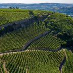 Exploring La-La-Las: A Symphony of Terroir