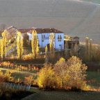 Poderi Einaudi: A Symphony of Tradition and Innovation in Italian Winemaking