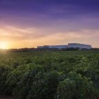 A Vinous Odyssey through Time – The History and Elegance of Finca Antigua