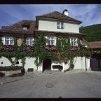 Symphony of Heritage and Vinous Mastery of Weingut Franz Hirtzberger