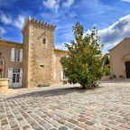 Opulence in a Glass: The Allure of Chateau Coutet’s Premier Cru Selections