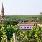 Sauternes tasting February 2024