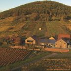 Weingut Fürst: A Legacy Carved in Franconian Terroir