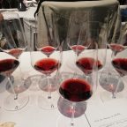 Sommelier’s Diary #23 21. July 2024 Barolo Ravera 2019 Barolos future