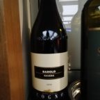 Elvio Cogno Winery: Where Tradition Meets Innovation in Every Bottle