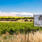 Chateau Musar