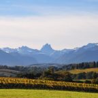 Discover the Essence of Jurançon : A Guide to France’s Hidden Gem