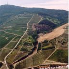 Exploring the Essence of Tokaji: A Guide to Hungary’s Legendary Wine Region