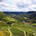 From Arbois to L’Étoile: Discovering Jura’s Historic Subregions and Their Grapes