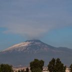 Volcanic Vines: The Story Behind Carricante’s Unique Flavor