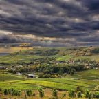 The Loire Valley: The Garden of France and Its Wines