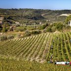 Sardinia’s Hidden Gem: Exploring Italy’s Enchanting Wine Appellation