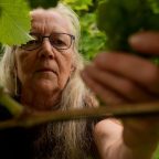 Cold-Climate Wines: The Nordic Answer to Global Wine Trends