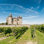 From Castle to Vineyard The Enchanting Chinon Wine Experience