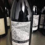 Radio-Coteau’s Journey: Bridging Tradition and Innovation in Winemaking