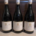 Exploring Babich Wines: A Century of Family Tradition in Auckland and Marlborough