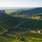 Maconnais: A Chardonnay Lover’s Paradise in Burgundy