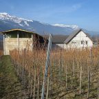 The Power of Passion: The Story Behind Weingut Gantenbein