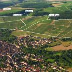 Unveiling Chablis Grand Cru: How Soil Shapes Some of the World’s Finest Chardonnays