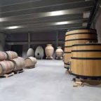 How Albert Jané’s Acústic Celler Captures the Essence of Montsant