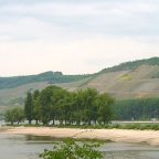 From Loreley to Luscious Rieslings: The Middle Rhine Story