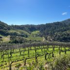 From Vision to Vineyard: The Journey of Harlan Estate