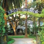 From 1882 to Today: Spottswoode’s Journey Through Napa’s Vines