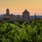The Soul of Piedmont: Understanding Barbera’s Diversity