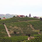The Soul of Castiglione Falletto: Monprivato by Giuseppe Mascarello