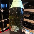 From River Mist to Mineral Grace: The Story of Domaine Edmond & Anne Vatan